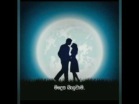 sundarai oba nihada balmen song .Thushara joshep (Lyrics Zone.LK)