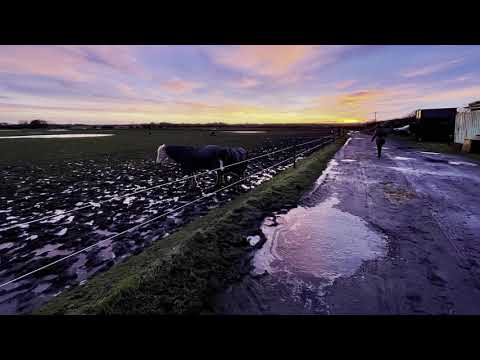 Hollywell Dene & Seaton Sluice walk