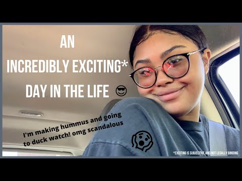 CHAOS COOKING WITH KENNIE: Making Hummus, Visiting My Duck, and Simping for Protein Bars| KennieJD