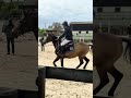 Ruin Franse rijpony PFS Te koop 2013 Isabel , VIERSEN K
