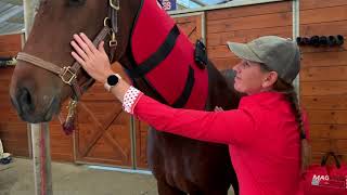 Neck Wrap User Video | Sport Innovations