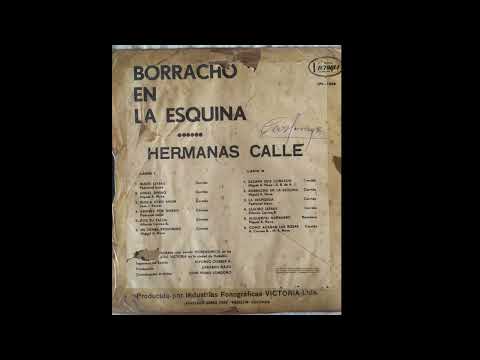 Borracho En La Esquina - HERMANAS CALLES