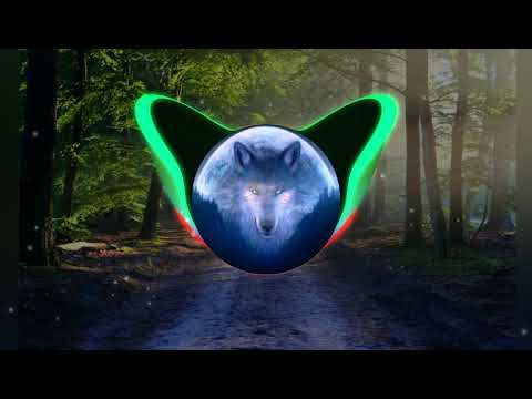 Vinnie, audax, pri pach - for the night (feat. babii cris) [Wolf Station]