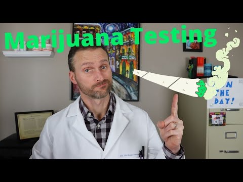 All about pre-employment marijuana testing - A Doctor's Advice