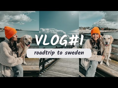 Roadtrip nach Schweden #1 - Fähre mit Hund, unterwegs in Malmö und eine Disskussion  im Auto