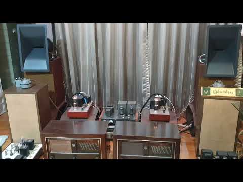 "KISS"  GINNY GIBSON