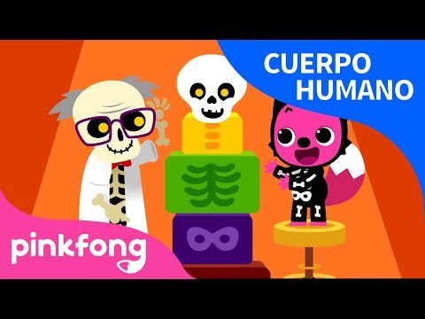 Huesos | Cuerpo Humano | Pinkfong Canciones Infantiles