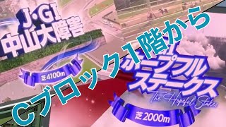 中山大障害2025 & ホープフルステークス2025【Cブロック1階】