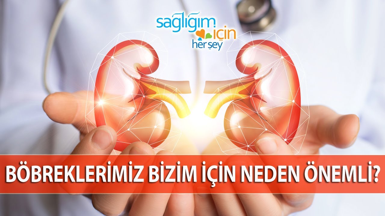 Böbrek Hastalıklarına Dikkat!
