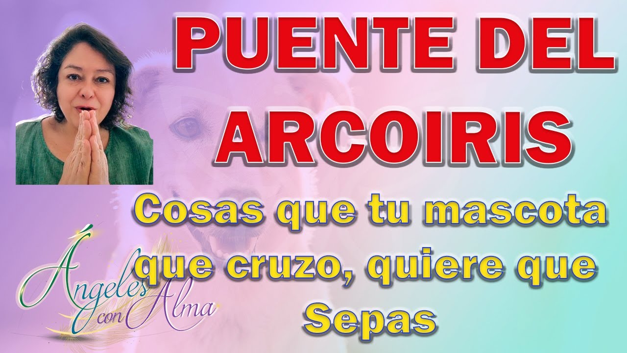Cosas que tu mascota que cruzo el puente del arcoíris quiere que sepas