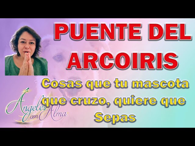 Vídeo relacionado con Ángeles del Puente del Arco Iris: La Vida Después de la Transición