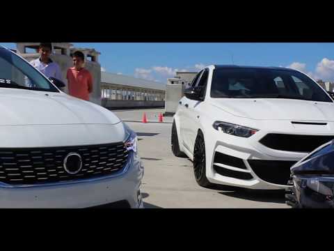 Star Of The Day Egea's