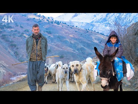 , title : 'Kış ve Çobanlık-Beyaz Dağlara Yolculuk| Belgesel-4K'