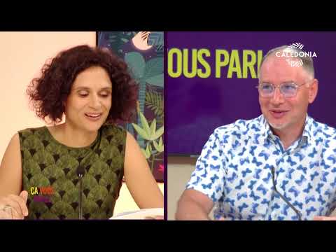 ÇA VOUS PARLE - À quoi servent les législatives ?