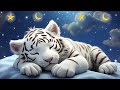 Baby Fall Asleep Quickly After 1 Minute Mozart Lullaby For Baby Sleep 27