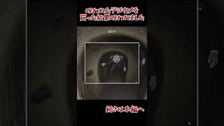 デジカメなんか買うんじゃなかった… #shotrs #ゲーム実況 #ゲーム実況 #実況