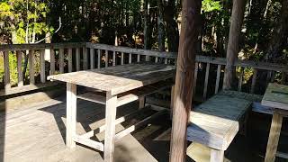 HEALING TIME in forest