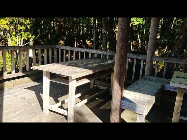 HEALING TIME in forest