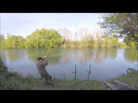 pêche du silure à la bouée départ en direct