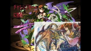 チャレンジモードで百花繚乱2　パズドラ　ゆっくり実況