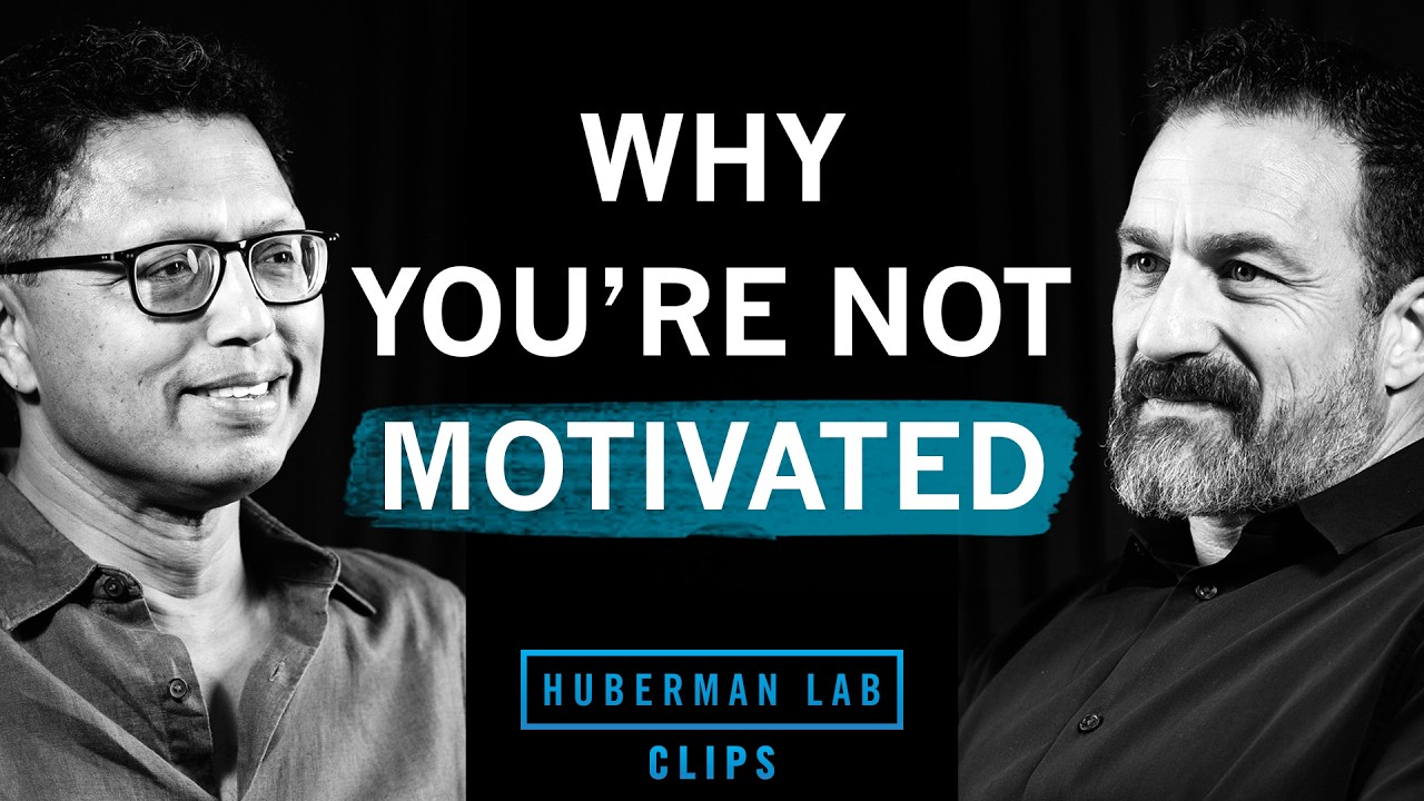 Why You're Not Motivated | Dr. Masud Husain & Dr. Andrew Huberman