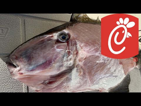 *MONSTER TRIGGER* {Catch, Clean, Cook} WHOLE *CHICK-FIL-A* STYLE