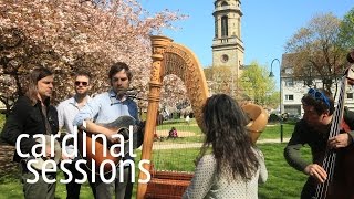 The Barr Brothers - Little Lover - CARDINAL SESSIONS