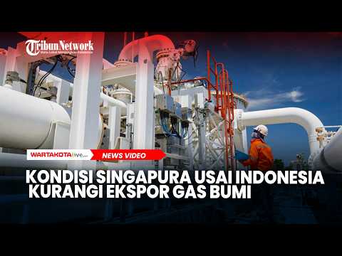 Kondisi Singapura Usai Indonesia Kurangi Ekspor Gas Bumi