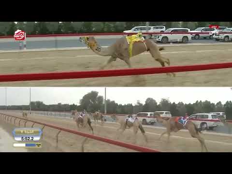 ش 9 (مروح) لـ محفوظ خميس علي الجنيبي 12:25:14 ، ختامي المرموم 2026/03/30 ثنايا