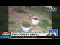 Eviction By Smell Langata Landlord In Nairobi Plays Dirty With Tenants