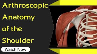 Arthroscopic Anatomy of the Shoulder | Orthopaedic Academy
