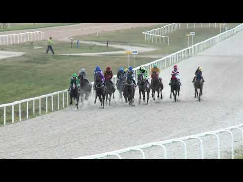 2019.07.21. 04. futam - PESTI NAPLÓ HENDIKEP (V.o.) (szintetikus pálya)