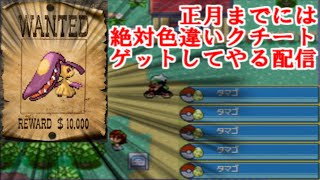 [エメラルド]正月までに色違いクチートをゲットする配信