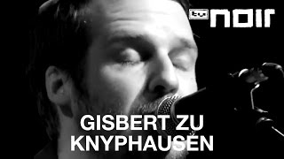 Gisbert zu Knyphausen - Seltsames Licht (live bei TV Noir)