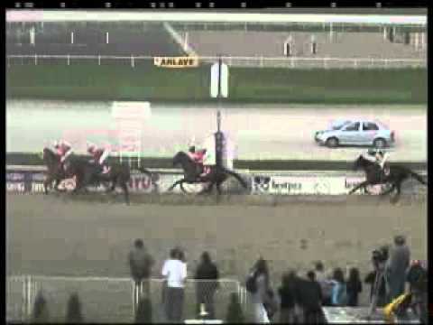 Trka Saint Leger   Beograd 26 10 2010