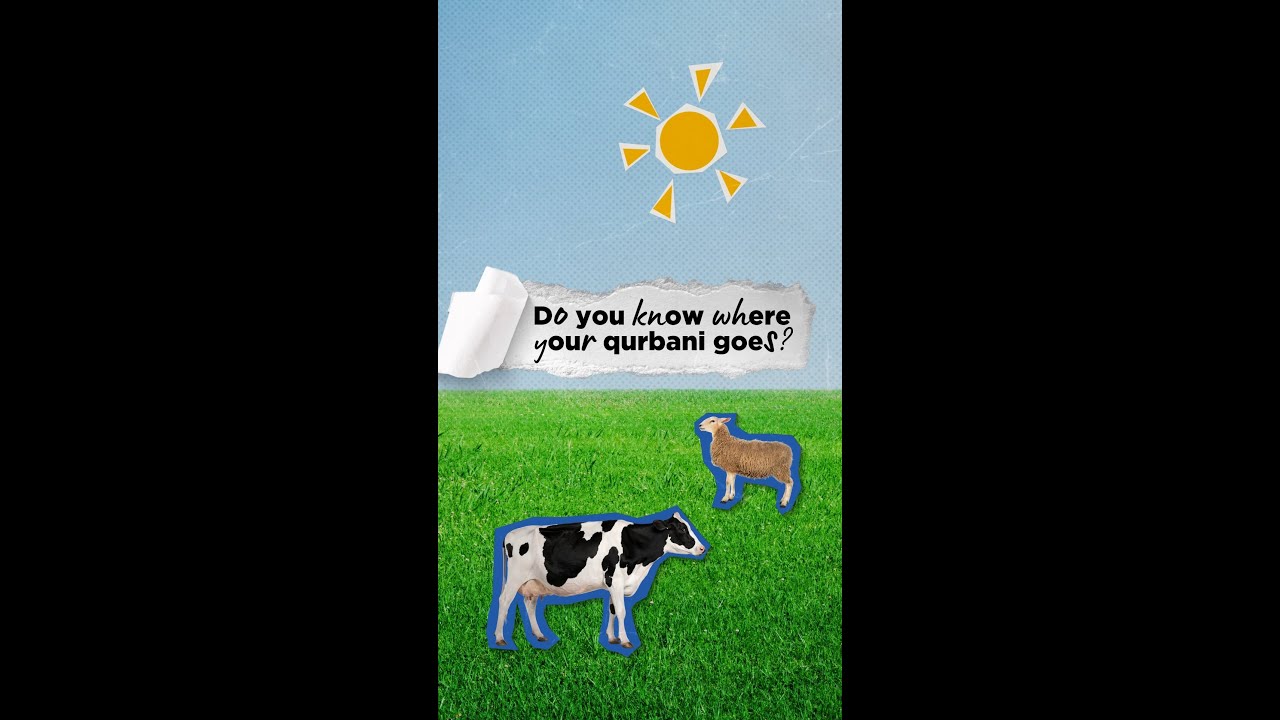 Do you know where your qurbani goes?
