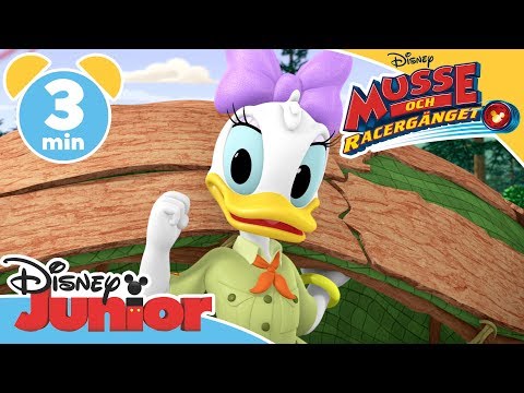 Musse och Racergänget | Scouter på hajk 🌲- Disney Junior Sverige