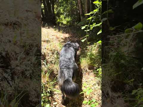 13 de enero de 2026 - Los Ángeles biobio