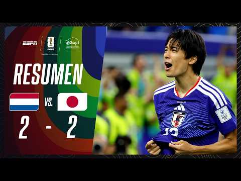 Resumen Países Bajos vs Japón
