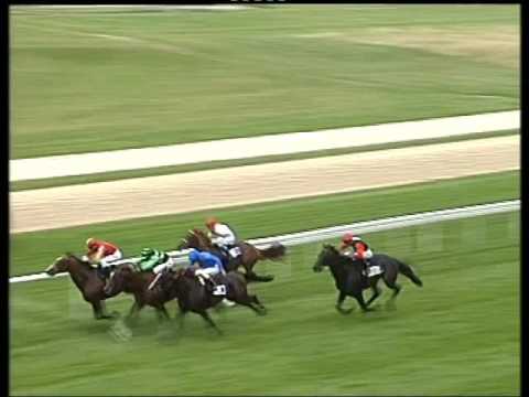 Rheinland Pokal Cologne 2007 (Group 1): Saddex - First Stream - Bussoni