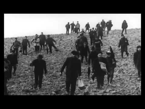 O Salto Trailer - FDH 2015