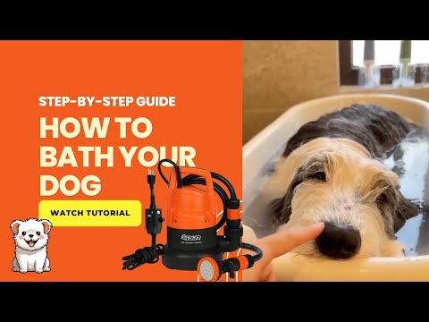 Effortless Pet Grooming! Try the OPAWZ Pet Bathing System for Your Dog #opawz  #dogbath  #dog