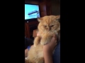 Garfield Dancing To Who Let The Dogs Out