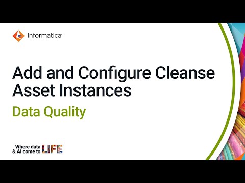 Add and Configure Cleanse Asset Instances in Data Quality