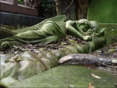 Fields of the Nephilim - Requiem XIII 33