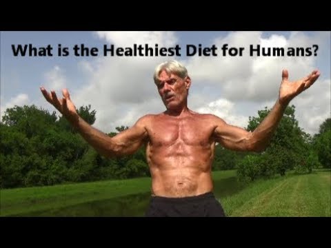 What is the Healthiest Diet for Humans?