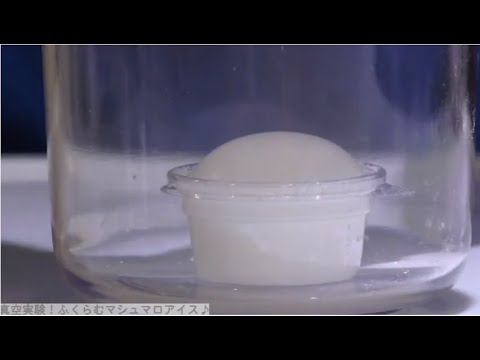 【群馬ちびっこ大学】真空実験！ふくらむマシュマロアイス