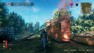 VALHEIM #10