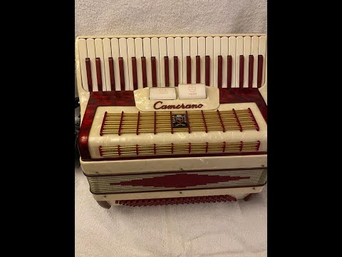 Italian music accordion soloist 0004 Fisarmonicisitia