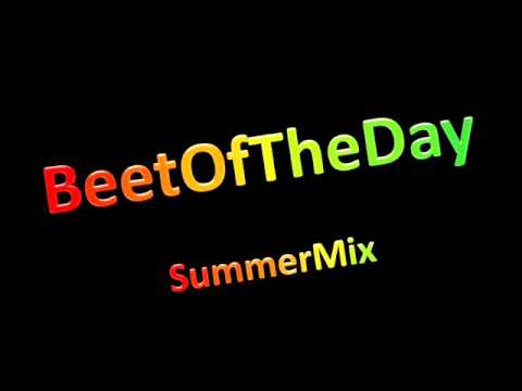 BeetOfTheDay SummerMix Part 1/4